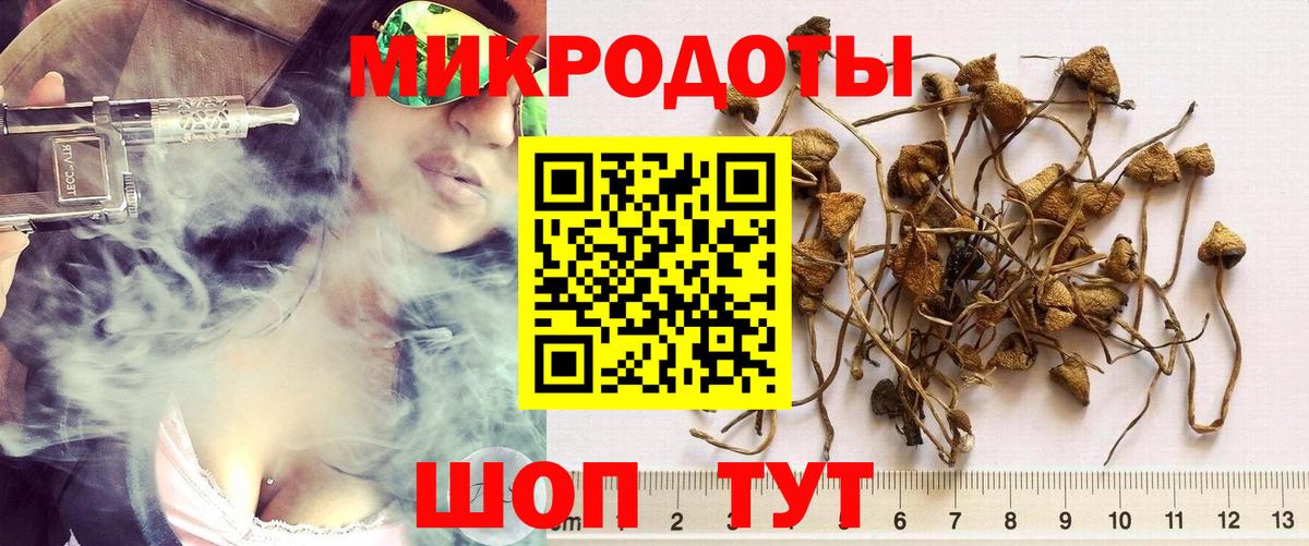 Псилоцибиновые грибы Psilocybine cubensis  Вход с VPN  Псилоцибиновые грибы прущие грибы  Лиски 
